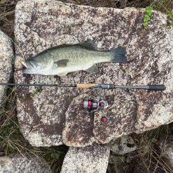 久しぶりのバス