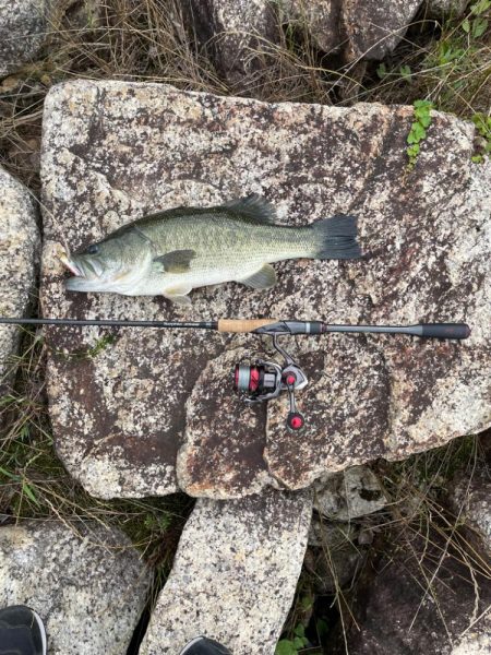 久しぶりのバス