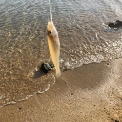 キスも大きくなってます!