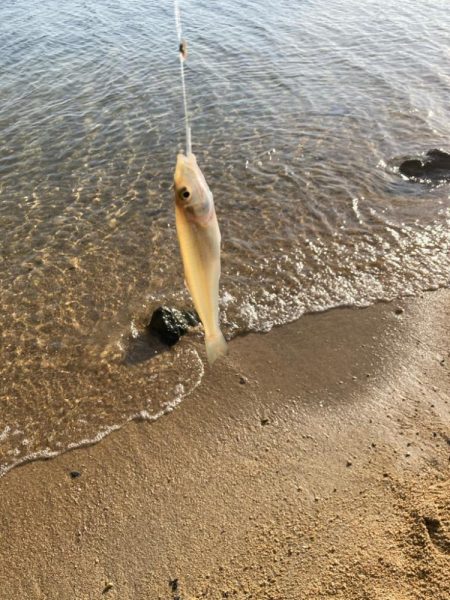 キスも大きくなってます！