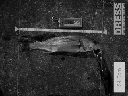 大好きなBlueBlueのルアーで縛ってみた(2,3本目)