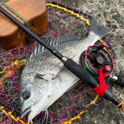 ヘチってきました