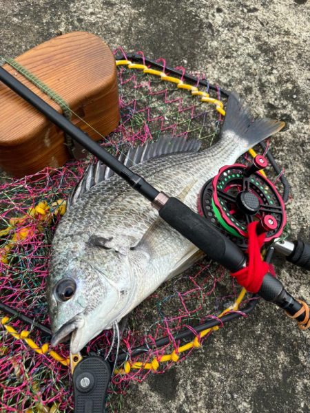 ヘチってきました