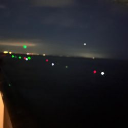 今年初大サバ！