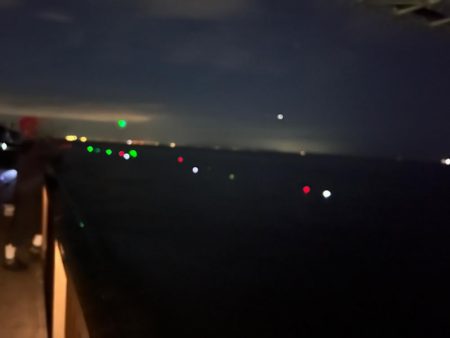 今年初大サバ！