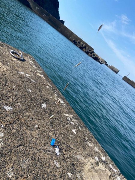 シロギスタ、本庄浜竜宮城で玉手箱