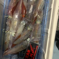 イカメタルandオモリグ