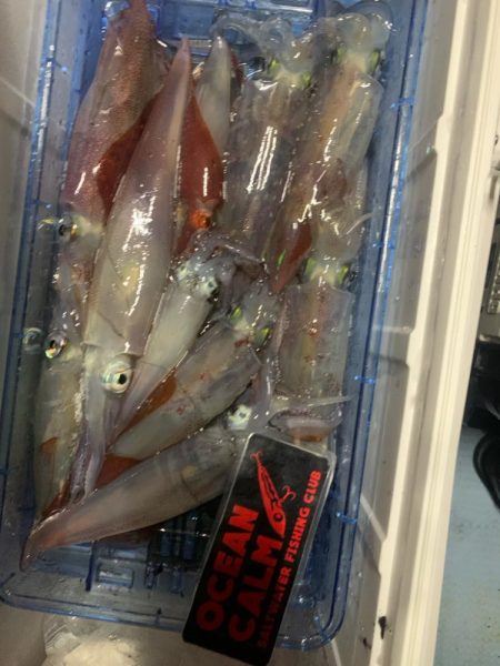 イカメタルandオモリグ