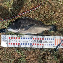 スウィングウォブラー四連発