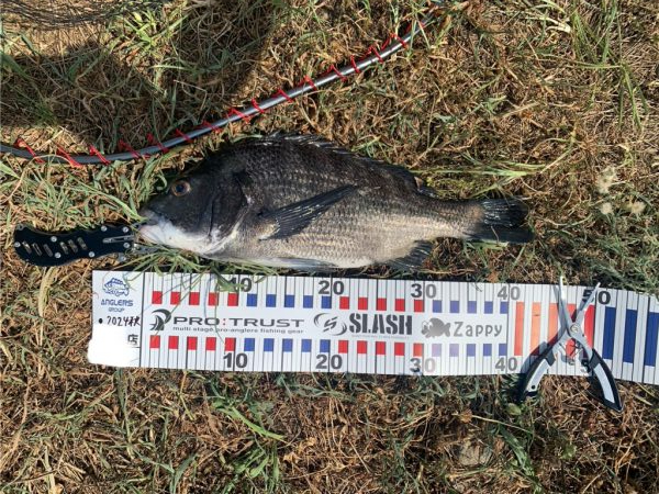 スウィングウォブラー四連発