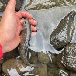 裾花川水系支流