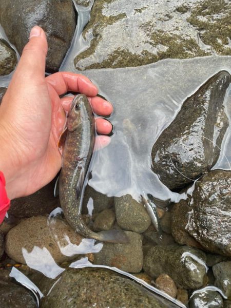 裾花川水系支流
