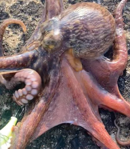 ⭐︎釣れ過ぎ注意