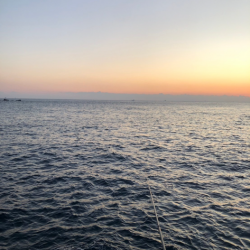 ショアからシマアジ！