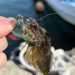 小物デイゲーム