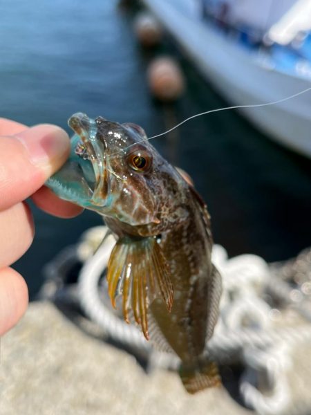 小物デイゲーム