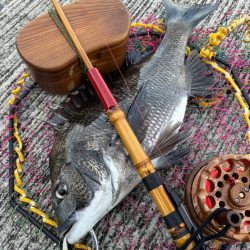 ヘチってきました