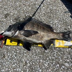 熱中症にはご注意を。