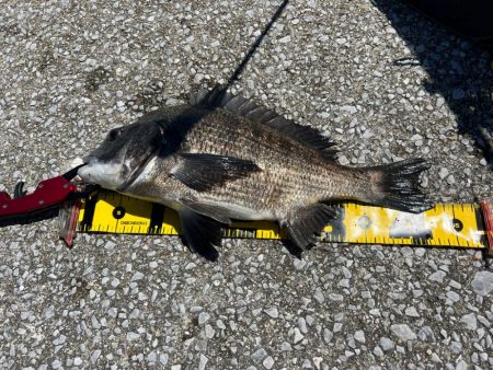 熱中症にはご注意を。