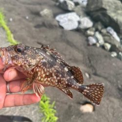 小浜ライトロック