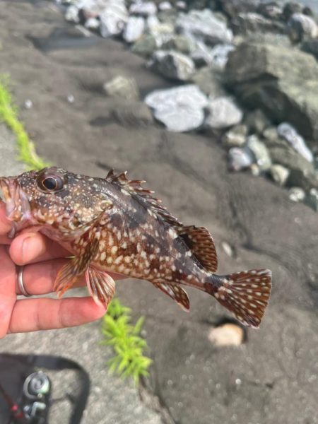 小浜ライトロック