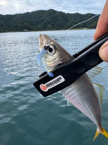 沖合い調査🎣