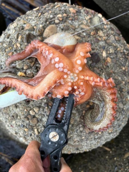 オクトパッシング16