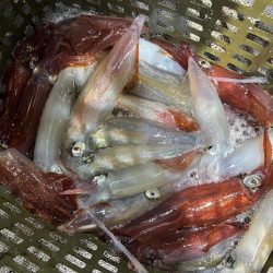 去年のリベンジは出来たかな