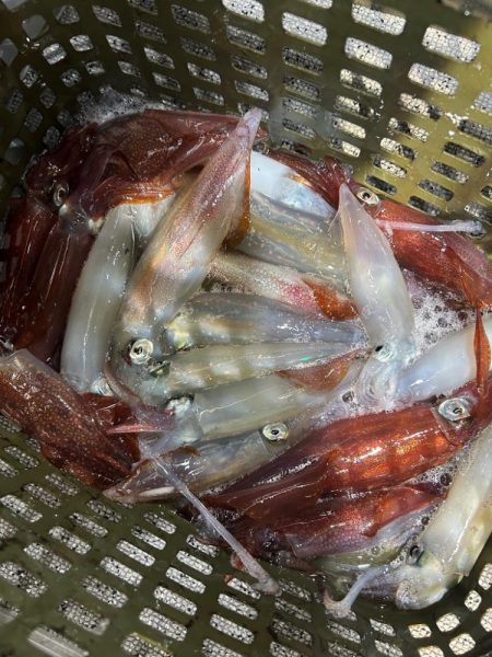 去年のリベンジは出来たかな