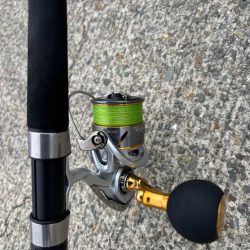 タコは気まぐれ 11