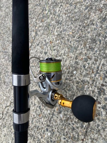 タコは気まぐれ 11