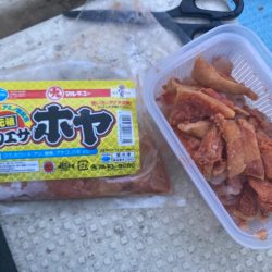 室津の夏フグ&タコ