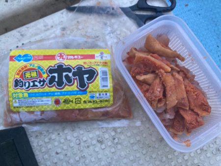 室津の夏フグ&タコ