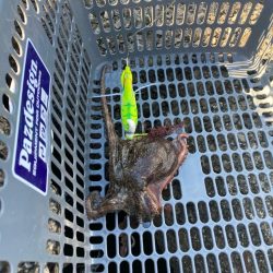 ⭐︎そろそろ苦潮気配