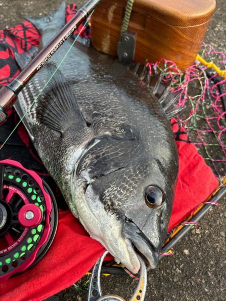 ヘチってきました