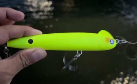 初めてちゃんとスネコンで釣れたっ！しかも150S!