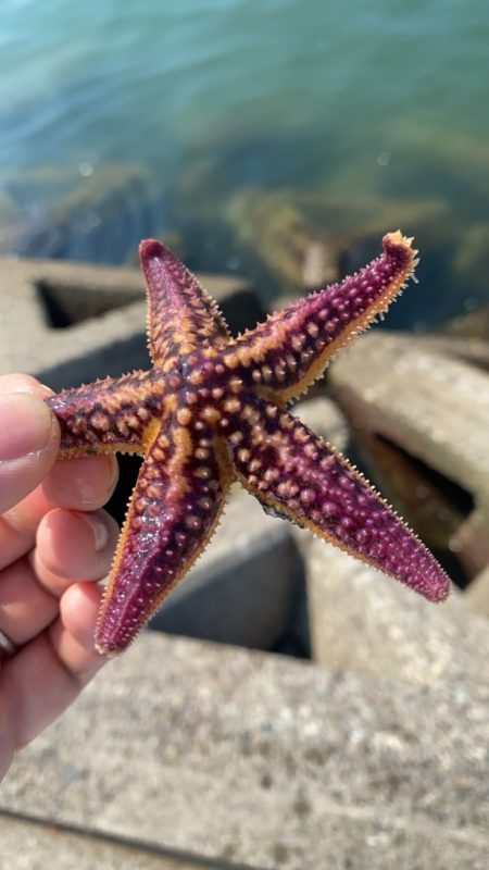 キス釣り　今年はアタリ年‼️