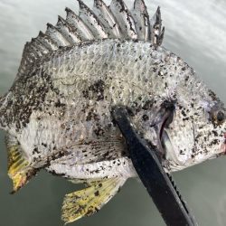 朝はどうだ⁉️