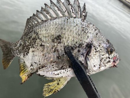 朝はどうだ⁉️