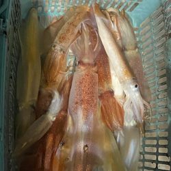 釣りの旅初日大剣狙い