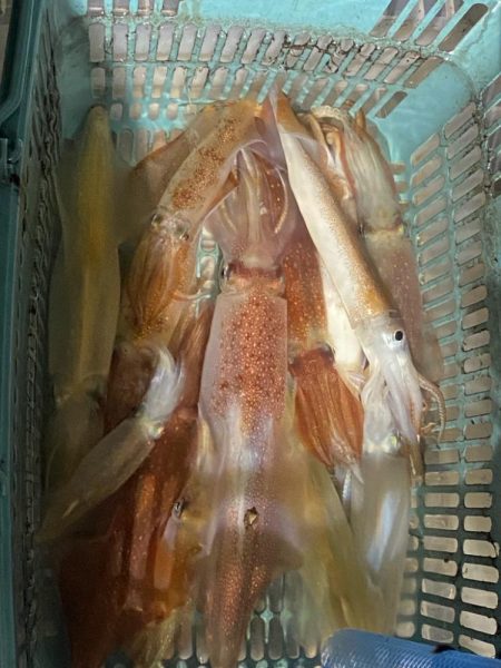 釣りの旅初日大剣狙い