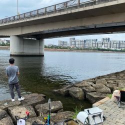 フカセで初チヌ