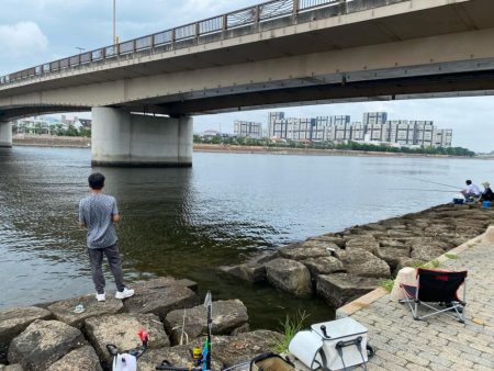 フカセで初チヌ