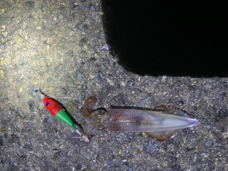 待ってました^_^