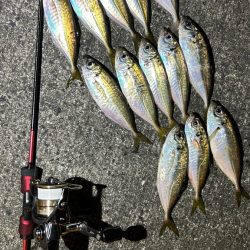 再調査アジング