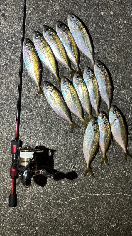 再調査アジング