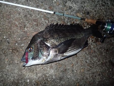 武庫一のBIG登場!