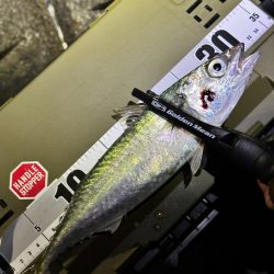 酷暑の中のフロートゲーム