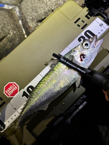 酷暑の中のフロートゲーム