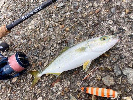 キシイチSPオレンジ良い感じにゃ！